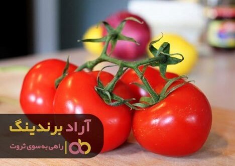 گوجه فرنگی در عراق